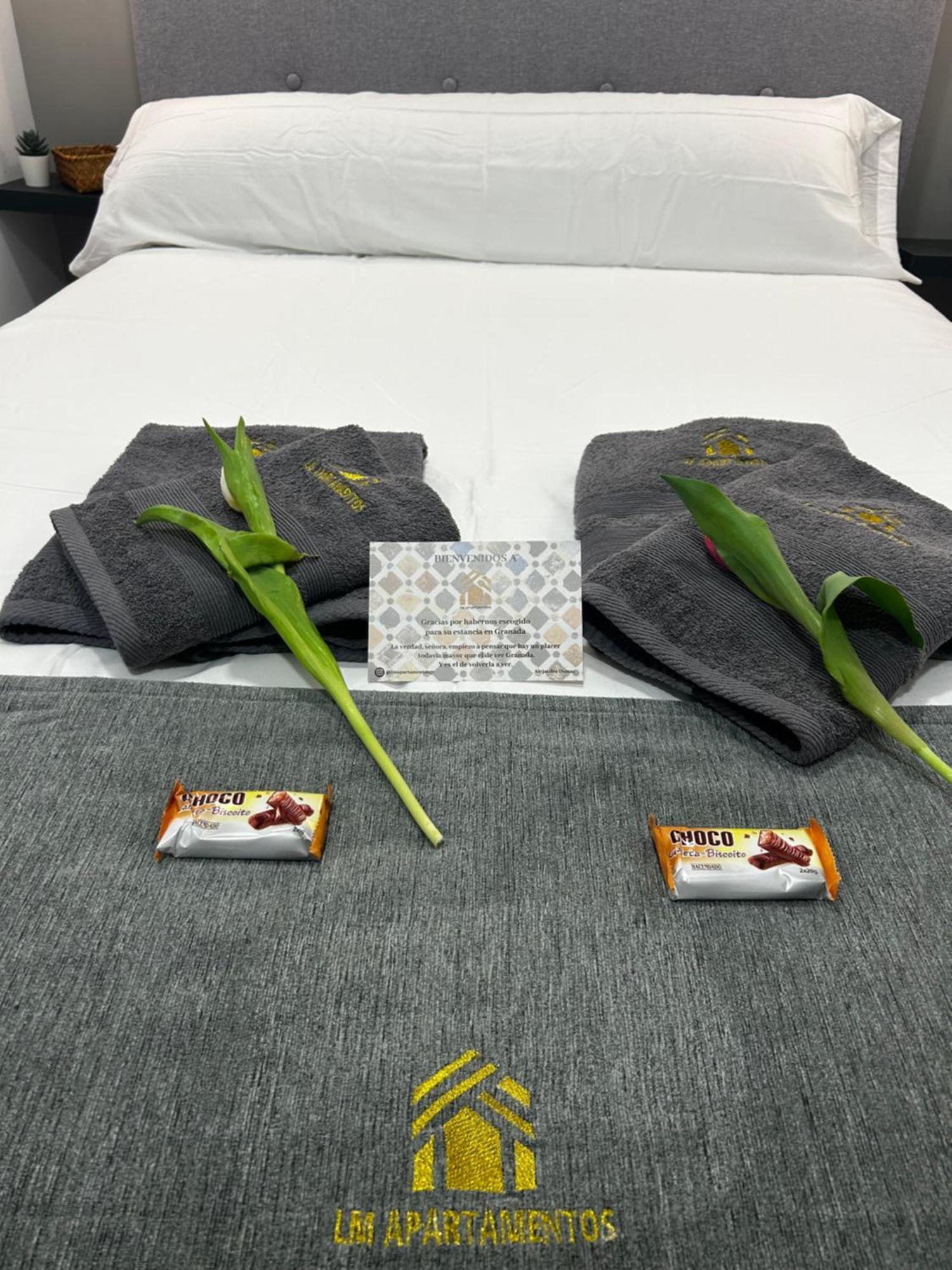 Lm Apartamentos Puentezuelas Granada Dış mekan fotoğraf